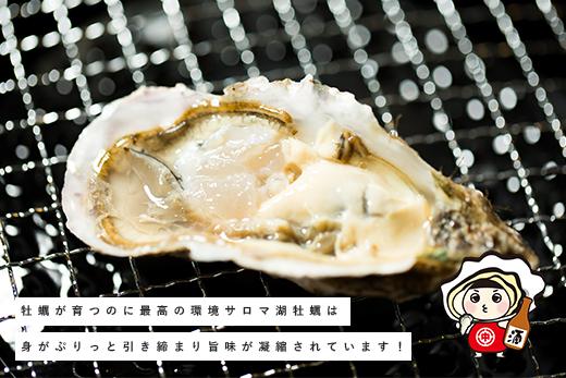 【国内消費拡大求む】 北海道 サロマ湖産 冷凍 殻付き牡蠣 13kg  (2年物) 加熱用　かき　海鮮　魚貝　国産　貝付き　焼き牡蠣　蒸し牡蠣　大容量　冷蔵　産地直送　サロマ湖　オホーツク　北海道　湧別	