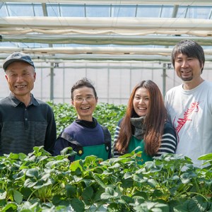 【無添加・手作り】ジェラート8個セット(秩父の果物・野菜を使用)