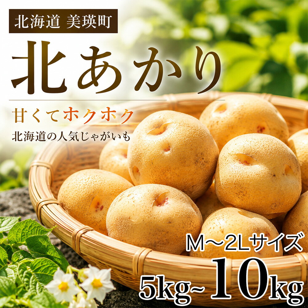 【ふるさと納税】令和8年産【先行予約】じゃがいも きたあかり 5kg おおとり | 北海道 じゃがいも キタアカリ 北あかり 芋 ジャガイモ じゃが芋 いも イモ 人気 新鮮 野菜 北海道 美瑛町 北海道美瑛町 美瑛 びえい 送料無料