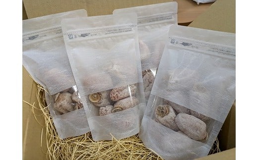 【農園直送】みなみ農園の市田柿　170g×４袋【12月24日発送予定】