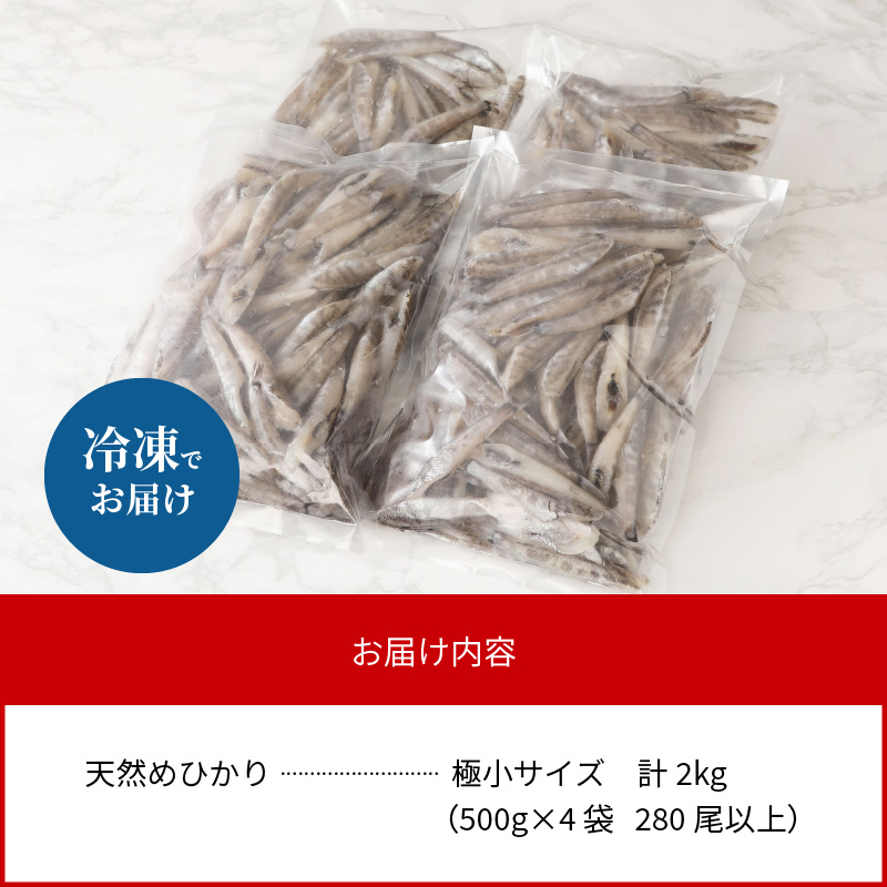 【訳あり】天然めひかり（極小サイズ） 500g×4袋　計2㎏　280尾以上 N124-ZA3330