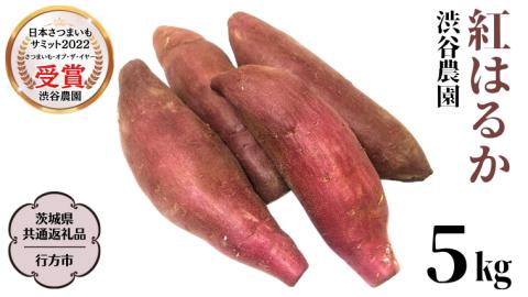 紅はるか 約5kg 【茨城県共通返礼品／行方市】渋谷農園 さつまいも いも 芋 焼芋 [DT001sa]