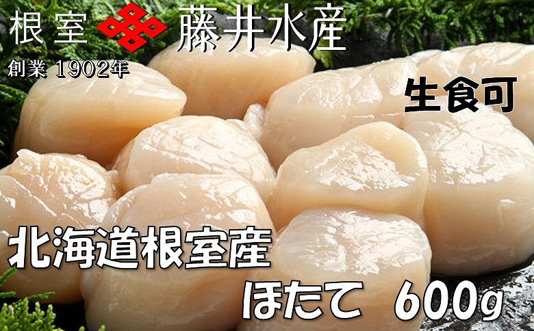 ＼漁業者応援品／【北海道根室産】お刺身帆立貝柱600g×1P B-42076