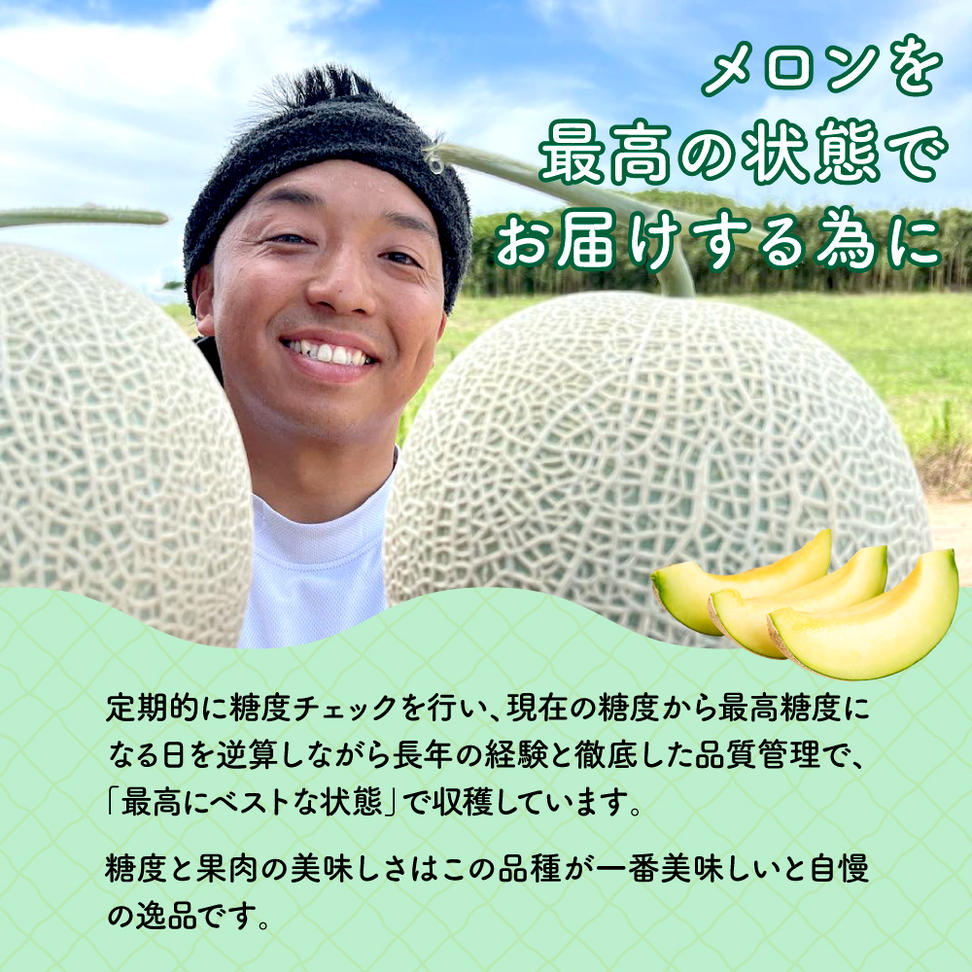 太田農園メロン“GIFT”赤肉メロン＆青肉メロンセット（各1