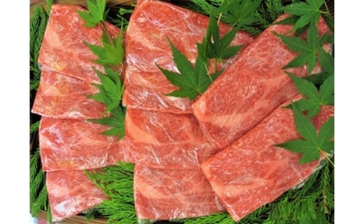 
                  ＜8月から寄附額改定＞飛騨牛 5等級 リブロース すき焼き用 厚切り 700g 牛肉 和牛 飛騨市推奨特産品 古里精肉店謹製
                