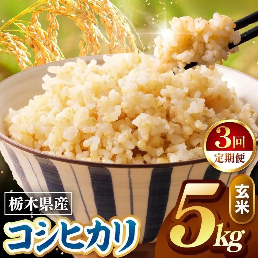 令和8年度産 先行予約 【定期便3回】こしひかり 玄米 約5kg