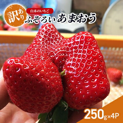 【ふるさと納税】訳あり いちご いちご職人 白木のいちご あまおう ふぞろいな「いちご」たち 250g×4P 訳アリ イチゴ 苺 果物 デザート ※配送不可：沖縄・離島　お届け：2026年1月中旬～4月下旬まで