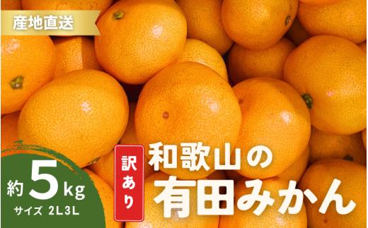 家庭用 訳あり 有田みかん 和歌山 2L,3Lサイズ  箱込み5kg【10月上旬～1月下旬頃に順次発送】/ みかん フルーツ 果物 くだもの 有田みかん 蜜柑 柑橘【ktn011】