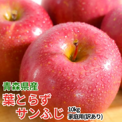 【26年11月から順次発送!】青森県産 りんご 葉とらずサンふじ 訳あり家庭用 約10kg【配送不可地域：沖縄県】