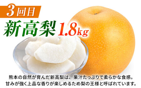 【先行予約】【3回定期便】 梨 約1.8kg 計約5.4kg（豊水・秋月・新高）  梨 ナシ フルーツ 果物 【日本フルーツ株式会社】[ZFJ069]