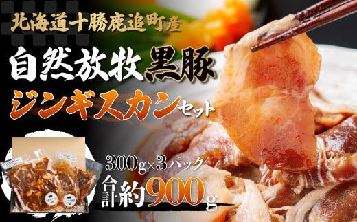 
鹿追産 自然放牧黒豚ジンギスカンセット 【 ふるさと納税 人気 おすすめ ランキング 黒豚 黒豚肉 豚肉 肉 豚 ジンギスカン 豚ジンギスカン 黒豚ジンギスカン 北海道 鹿追町 送料無料 】 SKN002
