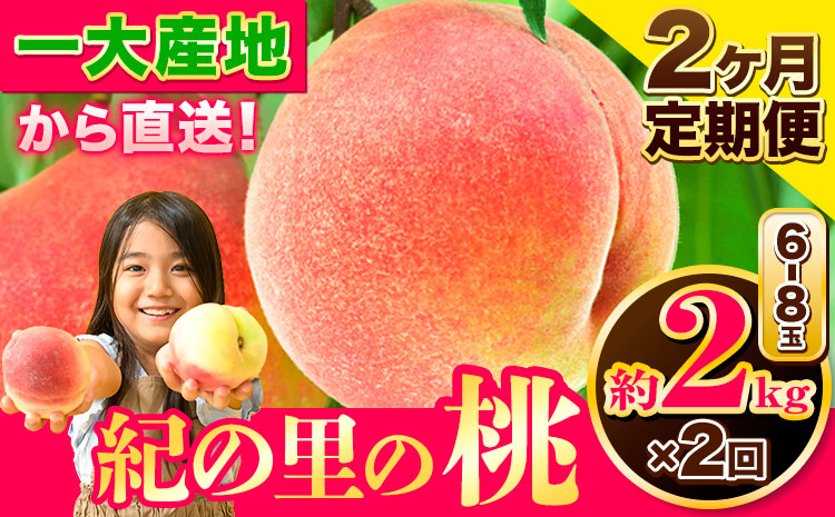 桃 もも【2027年先行予約】和歌山県産 紀の里の桃 【2ヶ月定期便】約2kg (6-8玉入り) 2回 お届け《2027年6月中旬-8月中旬頃出荷》 桃 2025年 先行 桃 先行予約2025 もも2
