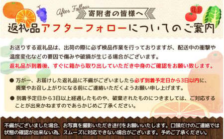 紀州てまり 22～32玉 【和歌山オリジナル品種柿】 2025年11月上旬～11月下旬頃発送予定【GO-09】【ard224】
