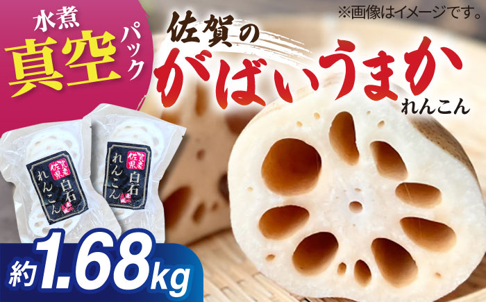 【2026年1月以降発送】【お手軽調理！】白石町産 水煮れんこん 120g×14袋（カット有り/真空パック）【有限会社白石開発】蓮根 れんこん レンコン [IBN003]