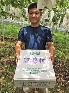 有田巨峰村三木と園のあま～い種あり巨峰3kg