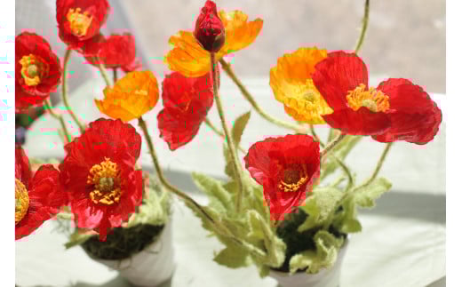 空気をキレイにするポピー 器付き