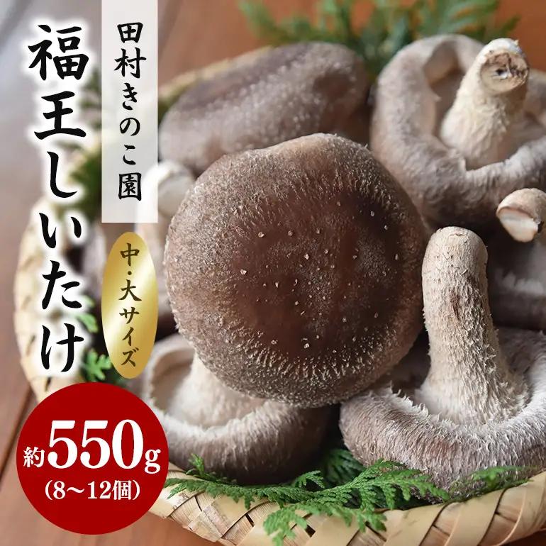 【先行販売/2026年10月末以降発送】福王しいたけ 中～大サイズ 約550g IA-001