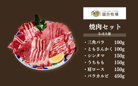 ＜COEDOブルワリー×国分牧場＞コエドビール 定番3種 350ml×12本(缶) 毬花 / 瑠璃 / 伽羅 & 国分牧場 牛焼き肉セット 1,100g(5~6人前)｜埼玉県 東松山市 COEDO コ