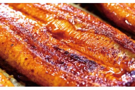 国産うなぎ 関西風蒲焼 大サイズ３枚(合計約450g)薬味付【古座川グルメ市場】 【miw106】