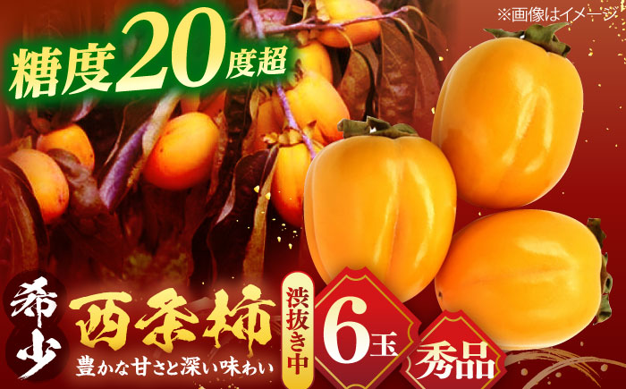 【先行予約】【秀品】 とろ〜り甘さの極み！合わせ柿 6玉 島根県松江市/マルカミ農縁株式会社 [ALCM003]