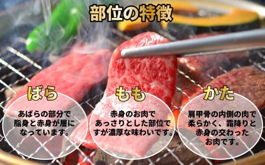 【訳あり】神戸牛 焼肉用（不揃い） 800g TKY1-2 [1205]