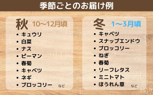 【6ヶ月定期便】新鮮野菜の産直 7～10品目 ＜楠こもれびの郷「楠四季菜市」＞