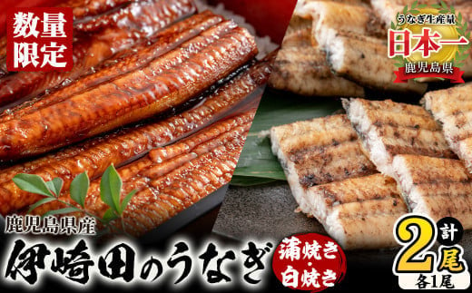 
【数量限定】鹿児島県産 伊崎田のうなぎ蒲焼き＆白焼きセット(計2尾/各1尾/計270g以上) うなぎ 鰻 ウナギ 国産 鹿児島県産 九州産 蒲焼き 白焼き 冷凍 うな重 ひつまぶし a5-240
