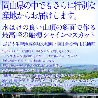 ふるさと納税 鏡野町 【発送月固定定期便】プレミアムシャインマスカット晴王 2房約1.4kg全2回 |  | 01