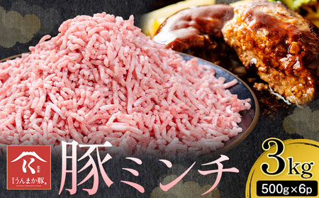 毎月数量限定 鹿児島うんまか豚ミンチ(計3kg・500g×6P)