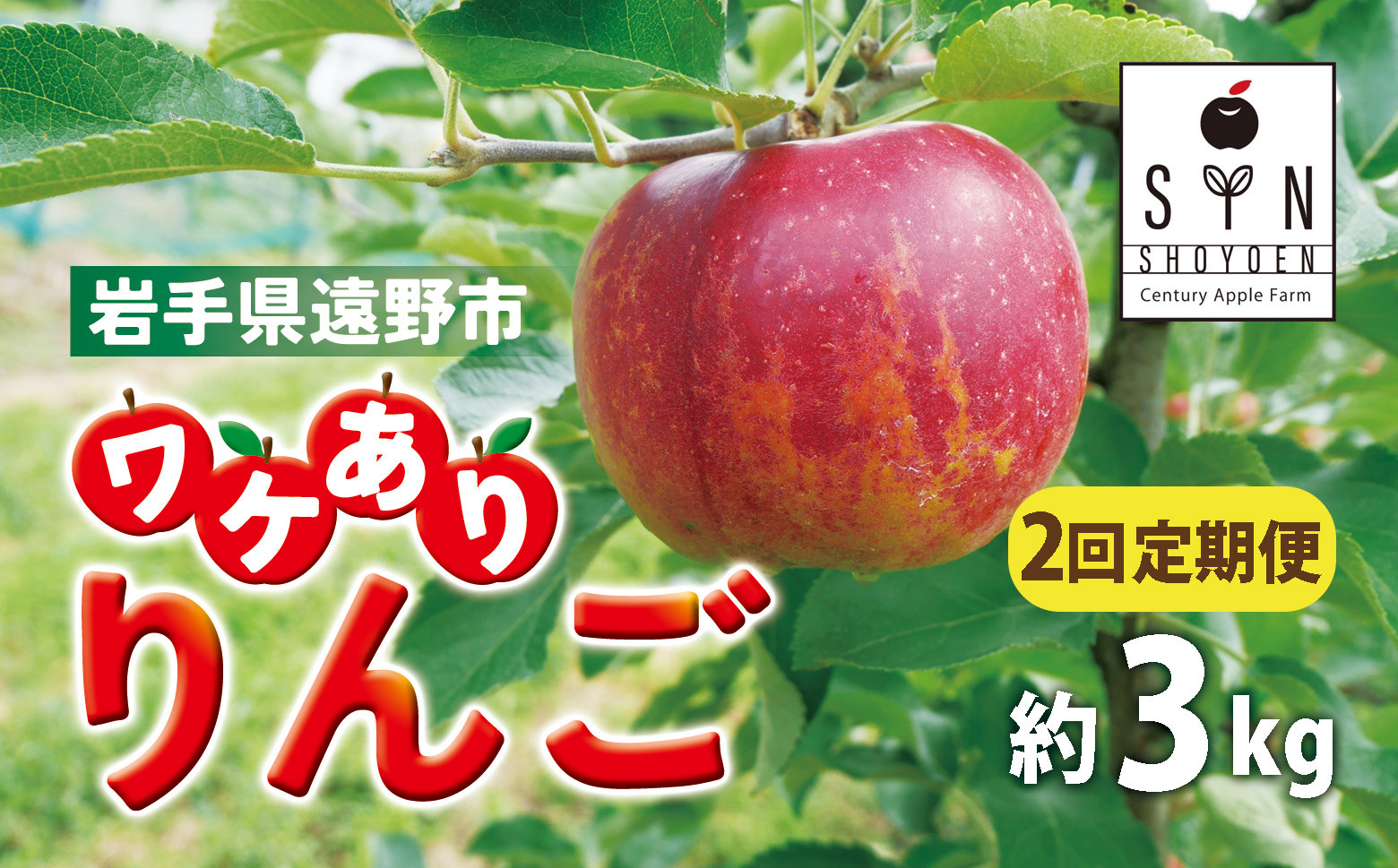 
            訳あり りんご 定期便 2回（約3kg） / 岩手県 遠野市 産 松陽園 11-12月 発送 10月31日受付終了
          