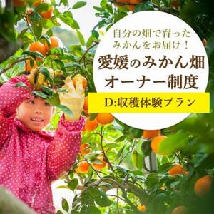 自分の畑が持てる!オーナー制度:D媛小春収穫体験プラン ミヤモトオレンジガーデン【H25-157】【1501527】