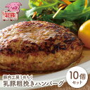 【ふるさと納税】乳豚粗挽きハンバーグ10個 豚肉工房うめちく 豚 ブランド肉 ギフト 国産 送料無料 U04-08