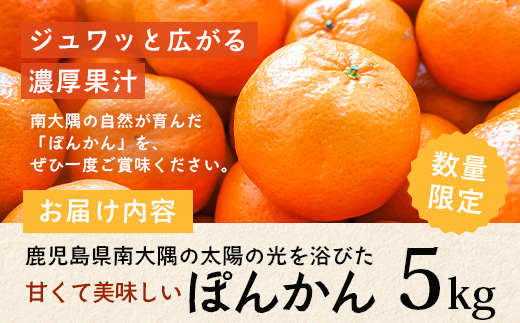 【先行予約】南大隅の太陽浴びた甘くて・おいしい ぽんかん 5kg【2026年1月中旬以降順次発送】 ID-1 ｜ぽんかん ポンカン 柑橘 甘い 果物 新鮮 産地 直送 先行予約 おすすめ 人気 南大隅