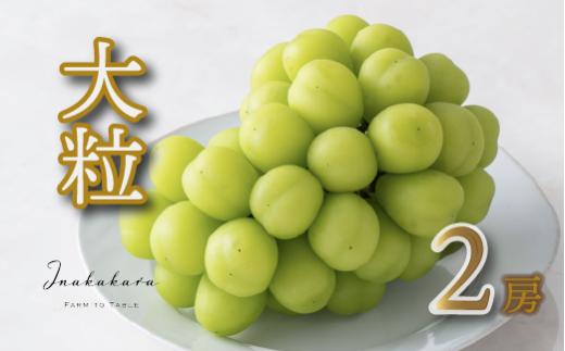 【2026年発送★先行予約】Inakakara 一宮の大粒シャインマスカット2房 (約1.4kg） 192-011-26y