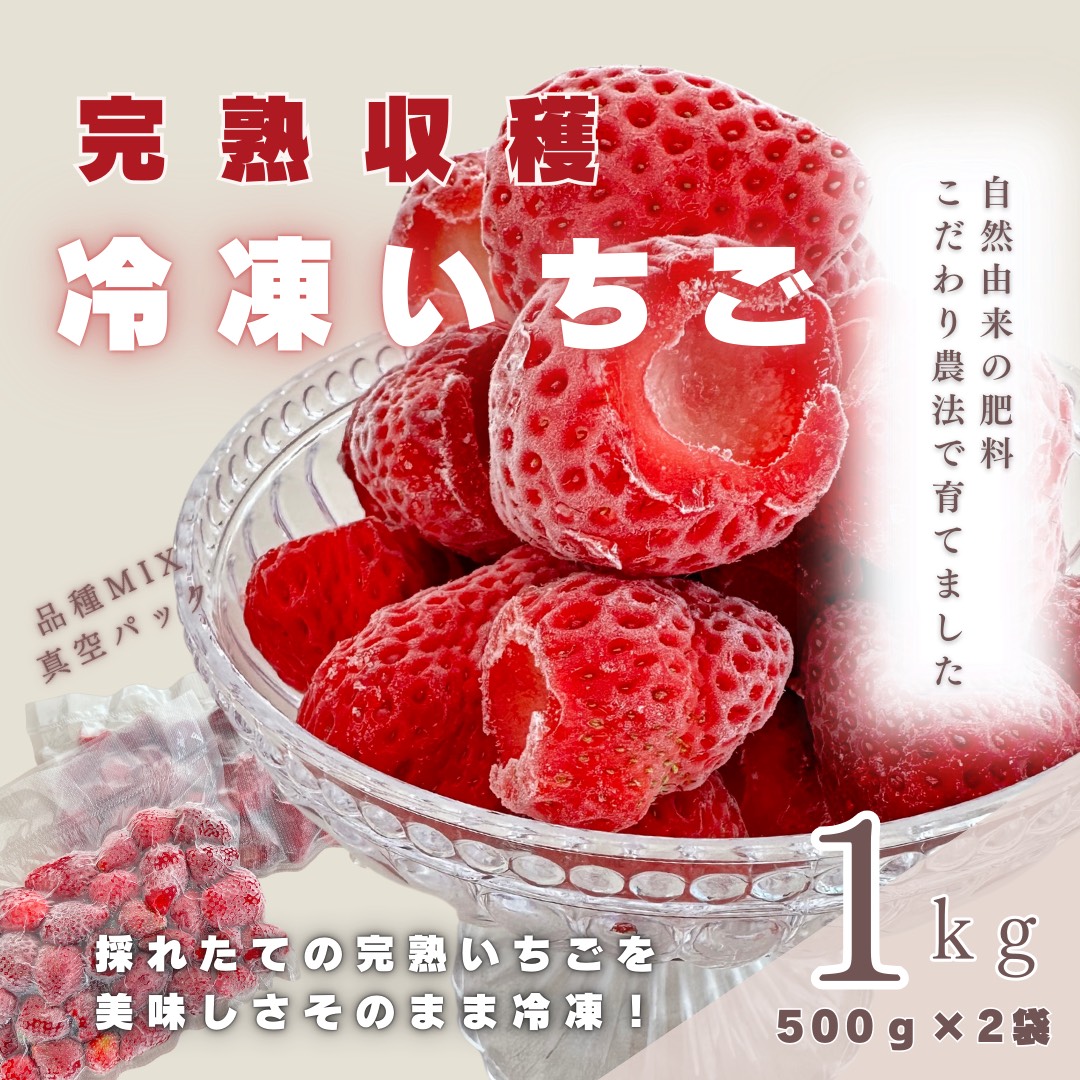 採れたて瞬間冷凍！ 滋賀県愛荘町産　冷凍いちご 1kg（500g×2）品種ミックス　冷凍 いちご 紅ほっぺ よつぼし みおしずく あまえくぼ BJ05
