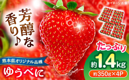 【先行予約】いちご ゆうべに 百花園ファーム 約1.4kg いちご[AYBQ084]