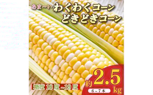 とうもろこし わくわくコーン どきどきコーン 6 ～ 7 本 約 2.5kg 糖度18 ~ 19度 甘い 美味しい おいしい 野菜 バーベキュー BBQ 産地直送 新鮮 生鮮 食品 静岡県 牧之原市 もろこしショップ ぐりぱ