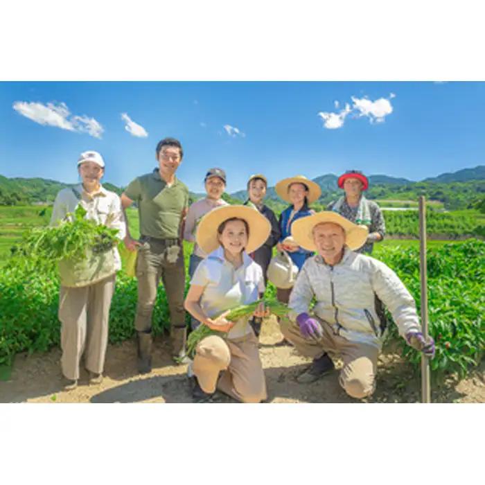 河南町新鮮アジア野菜「お手軽セット」 No.332