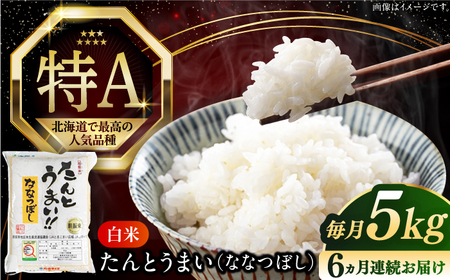 【全6回定期便】【令和7年産】ななつぼし [たんとう米] 5kg 米 定期便 6ヵ月 半年 毎月 定期便 6ヵ月 半年 毎月 お米 白米 ご飯 ななつぼし 北海道 [AXAB077]
