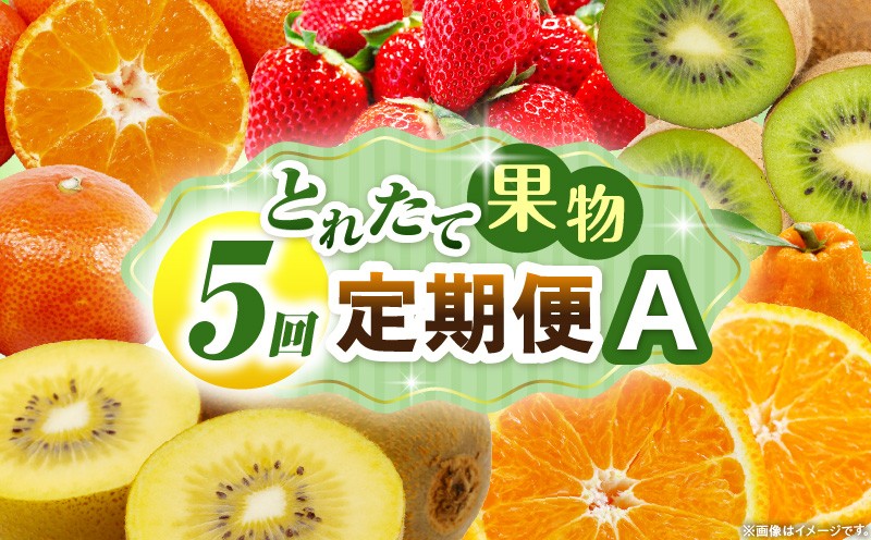 
            とれたて果物 5回定期便A 果物 フルーツ 果物定期便 フルーツ定期便 定期便 いちご キウイ デコポンみかん 濃厚 旬の果物 定期 人気 おすすめ 贈答 贈り物 青果物 糖度 香川県 _mk165-t080
          