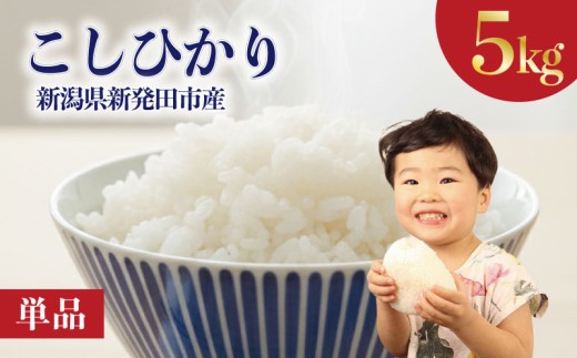 【単品】コシヒカリ 5kg 新潟県 米 こめ 白米 ご飯 おにぎり 5kg こしひかり 新発田産 新発田市 新潟 野口政一商店 noguchi003_03