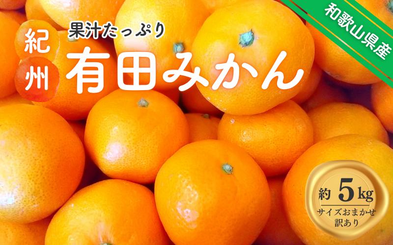 
            紀州有田みかん 訳あり 約5kg キズ ご家庭用 サイズ混合　※2024年12月上旬頃より順次発送予定　※北海道・沖縄・離島配送不可【sml130A】
          