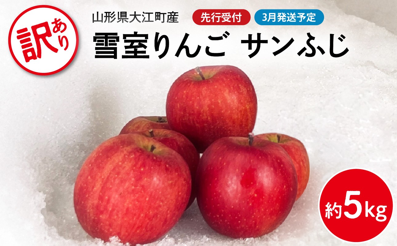 
            《先行受付》【2026年3月発送予定】 訳あり 雪室りんごサンふじ 約5kg【大江町産・山形りんご・大地農産】【028-033】
          