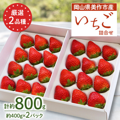 岡山県美作市産　厳選2品種いちご詰合せ(約400g×2パック)【配送不可地域：離島・北海道・沖縄】【1073697】