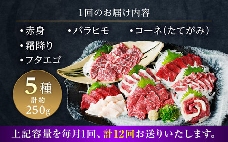 【全12回定期便】5種の馬刺し 盛り合わせセット 5人前 約250g[AYAT034]