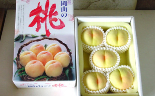 岡山市　一宮産　清水白桃　5～6玉入り　1.5キロ 化粧箱入り【配送不可地域：離島・北海道・沖縄県・東北・関東・信越、北陸】