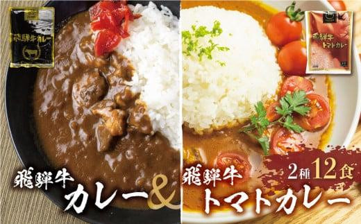 
            【年内配送が選べる】飛騨牛カレー (8袋) 飛騨牛トマトカレー (4袋)  | 訳あり 飛騨牛 肉 牛 カレー ビーフカレー 簡易包装 レトルトカレー トマトカレー ご当地カレー 人気 おすすめ 便利 発送時期が選べる 飛騨高山 ふるさと清見 DC004VP
          