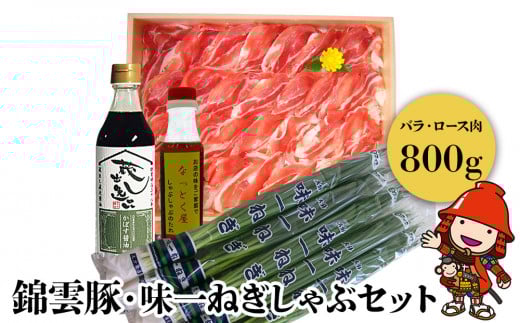 錦雲豚 味一ねぎ しゃぶしゃぶ セット 豚バラ肉・ロース肉(800g) | 小ねぎ 万能ねぎ 青ねぎ かぼすポン酢しょうゆ 詰め合わせ 九州産 国産 送料無料