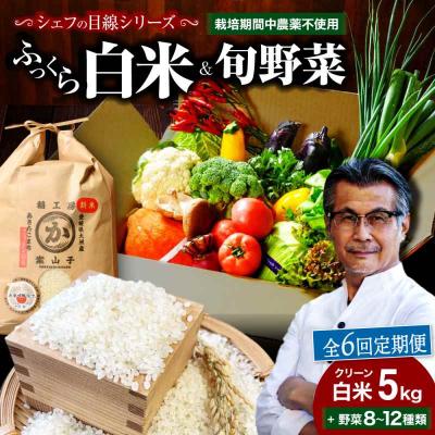 ふるさと納税 大洲市 【全6回定期便】『シェフの食卓』〜野菜・果物・お米・卵の詰め合わせ〜 [AGBX032]