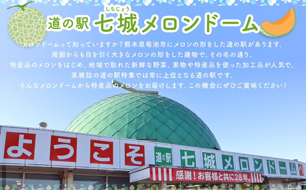  肥後グリーンメロン 2玉 (2L以上) くまモン箱入り
